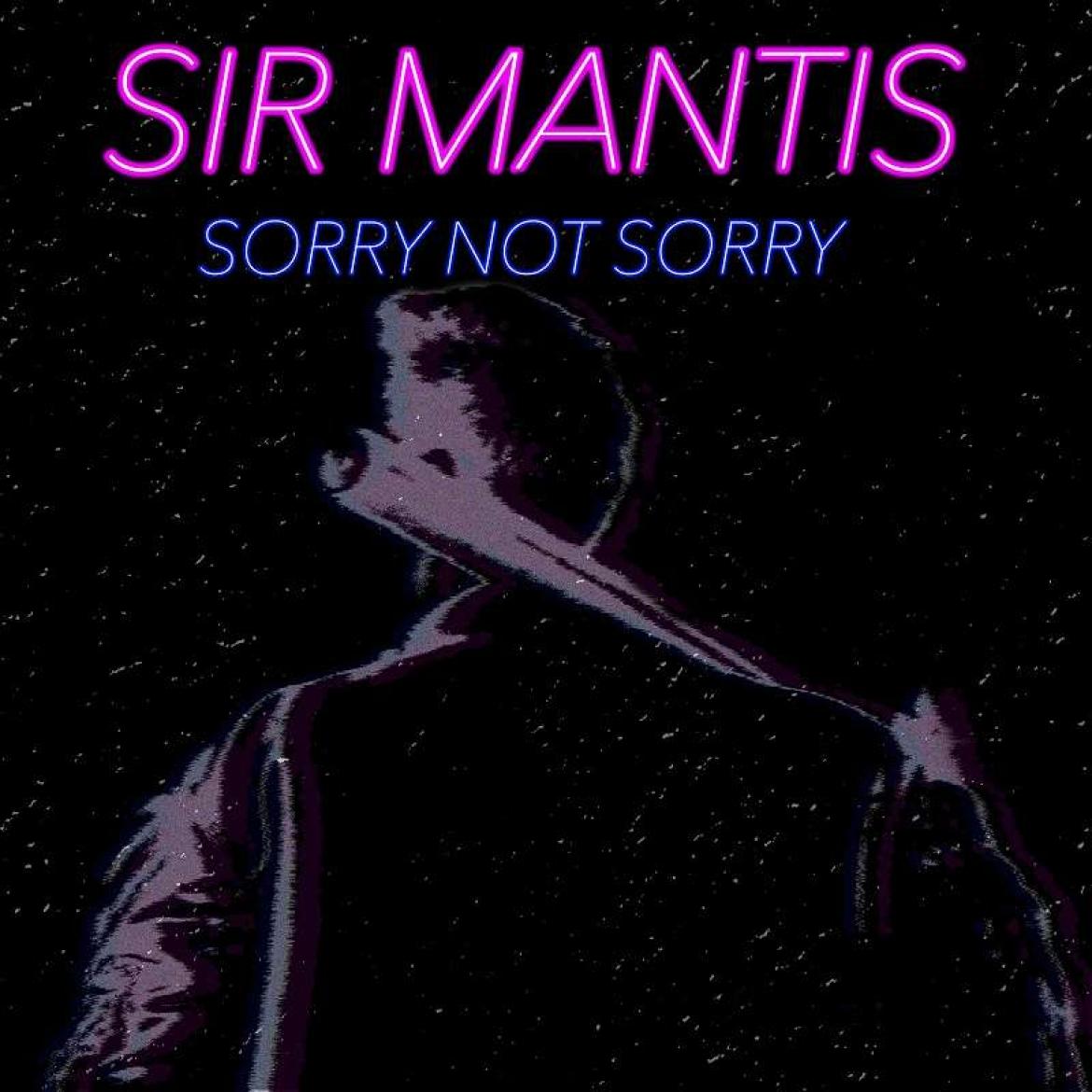 Sorry not Sorry - Cover