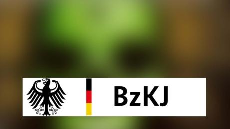 Collage mit Logo der BzKJ