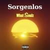 What Soulz - Sorgenlos